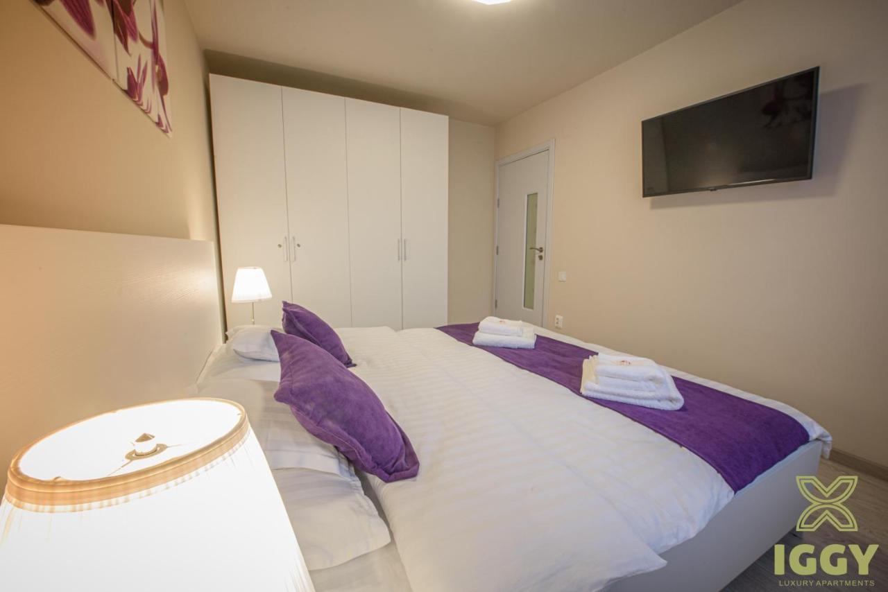 Iggy Luxury Apartment Hunedoara Exterior foto